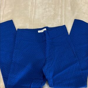 Vibrant Blue Textured Pants